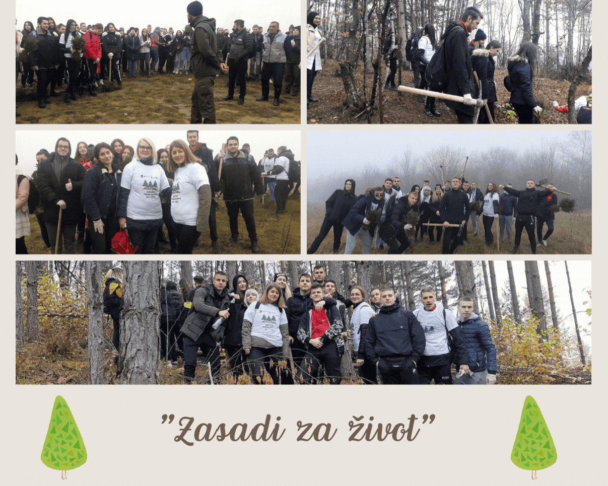 Akcija pošumljavanja