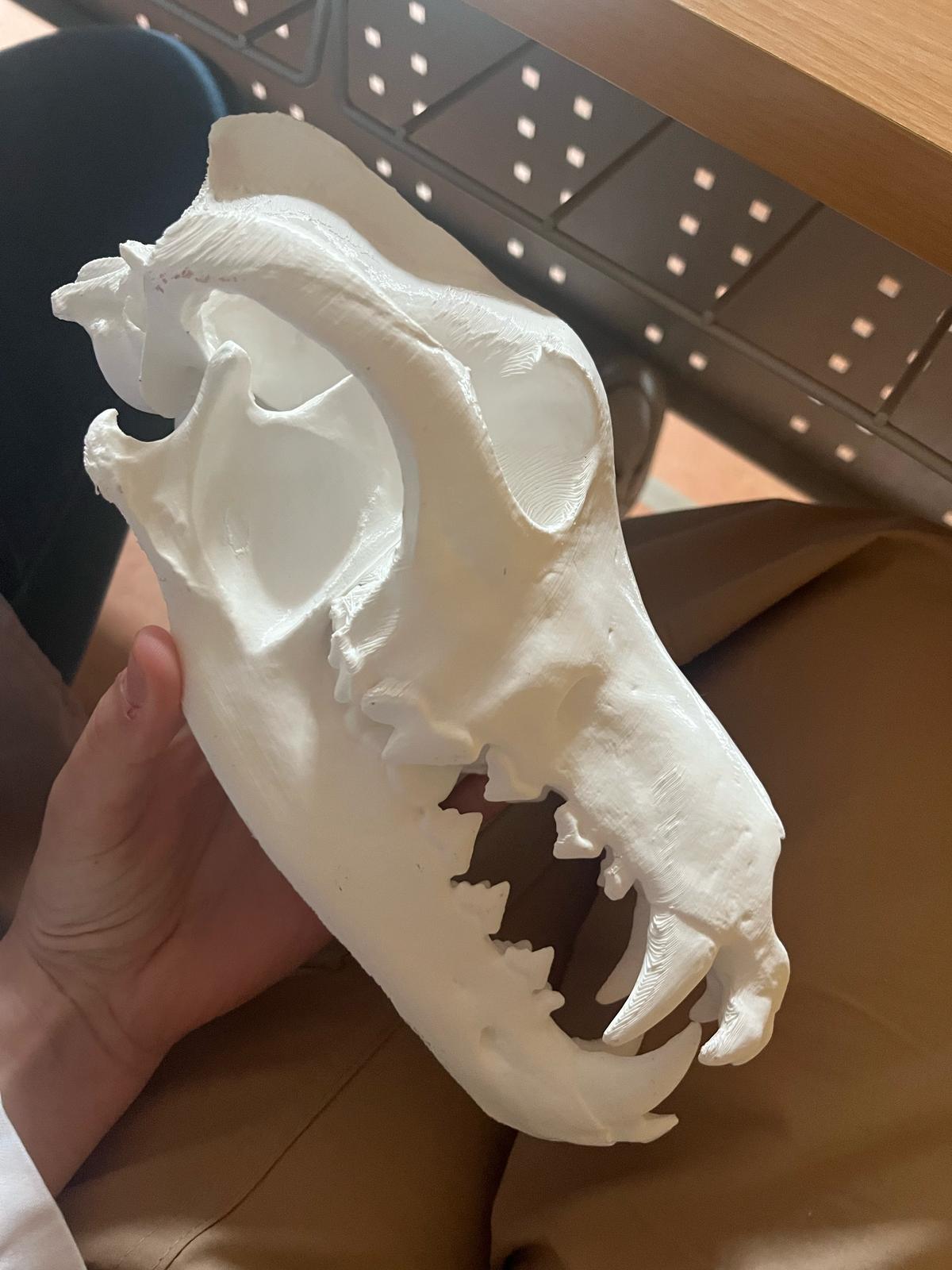 vet3